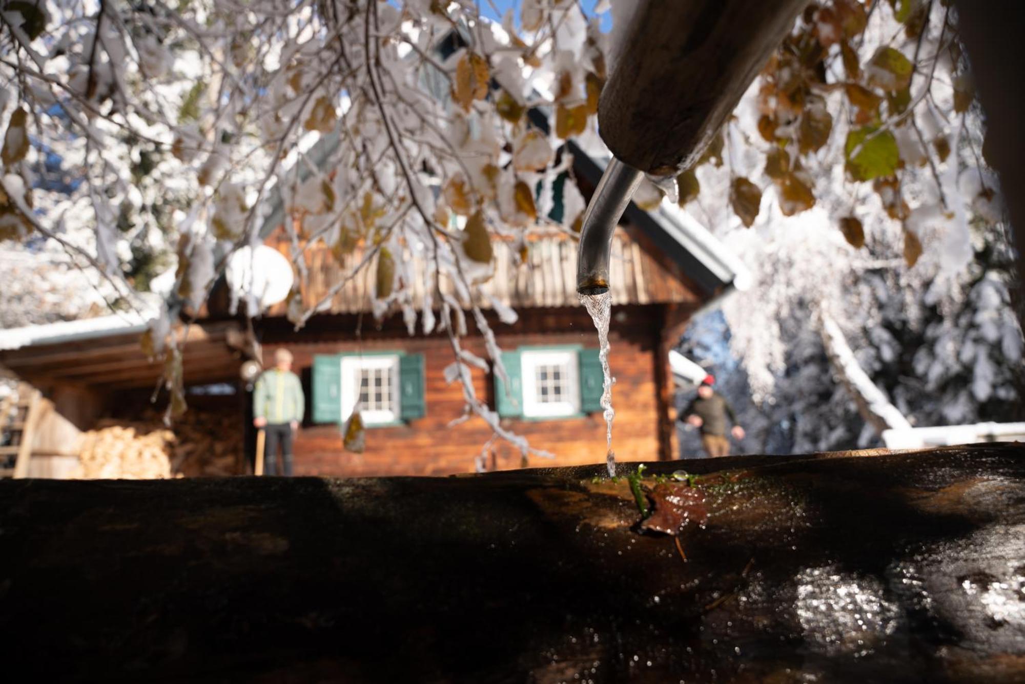 Gregor'S Ferienhaus Im Wald Edelschrott エクステリア 写真