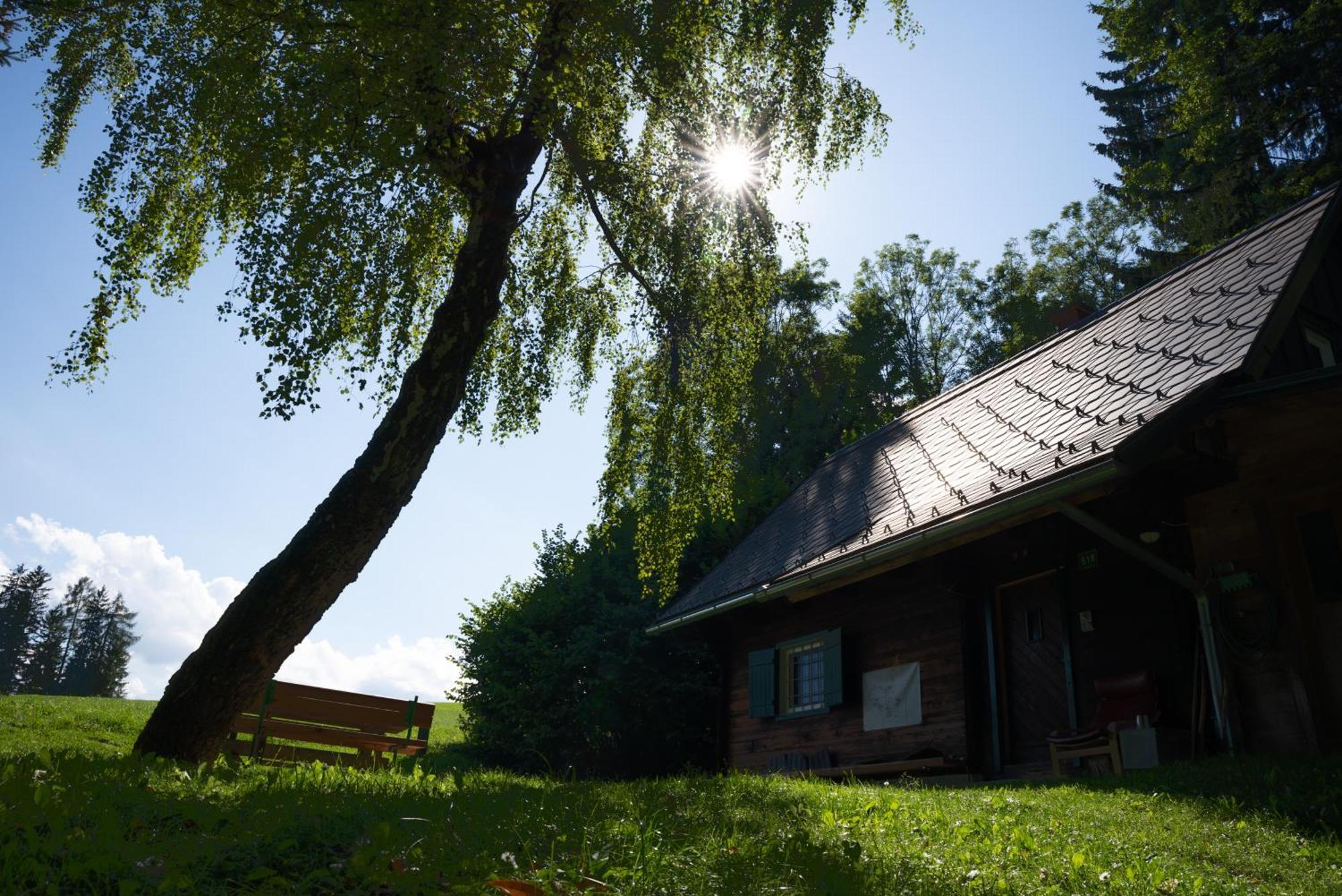 Gregor'S Ferienhaus Im Wald Edelschrott エクステリア 写真